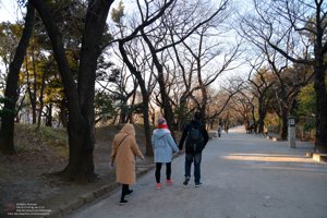 20180111145101_NIKON D7100.jpg